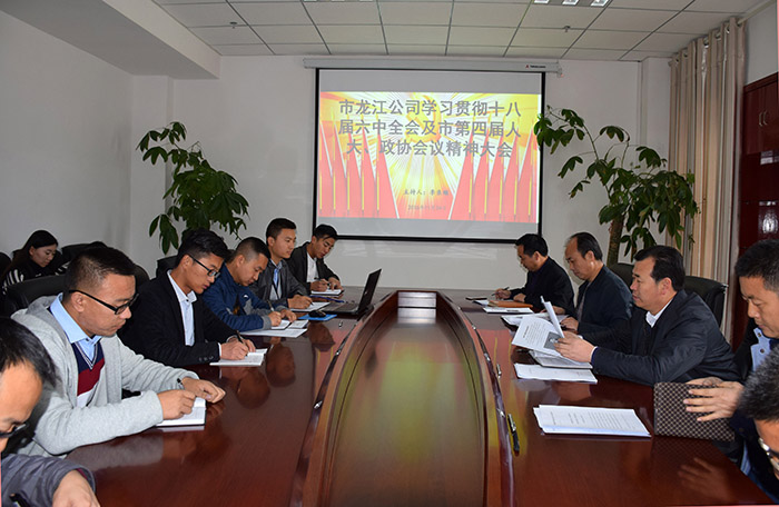 市龍江公司召開全體員工大會，專題傳達學(xué)習(xí)上級會議精神