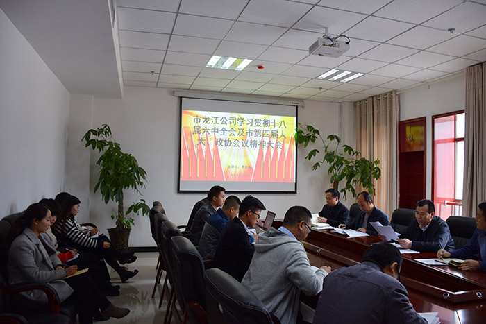 市龍江公司召開全體員工大會，專題傳達學(xué)習(xí)上級會議精神