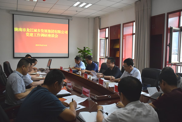 隴南市委常委、組織部部長(zhǎng)楊郃調(diào)研指導(dǎo)市龍江城鄉(xiāng)發(fā)展集團(tuán)公司黨建工作